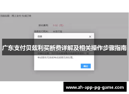 广东支付贝兹利买断费详解及相关操作步骤指南