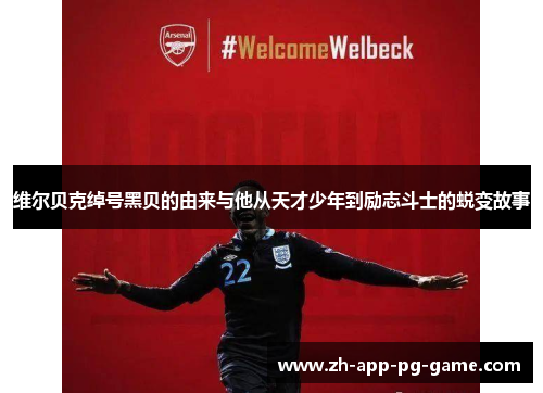 维尔贝克绰号黑贝的由来与他从天才少年到励志斗士的蜕变故事