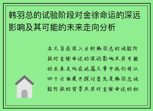 韩羽总的试验阶段对金徐命运的深远影响及其可能的未来走向分析